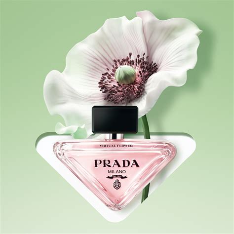 Ophidia Mini Bag 772314-1.jpg